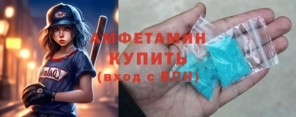 молекула духа Богородицк