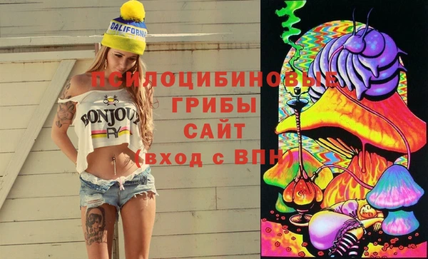 трава Богданович