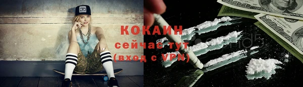 молекула духа Богородицк