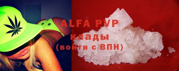 молекула духа Богородицк