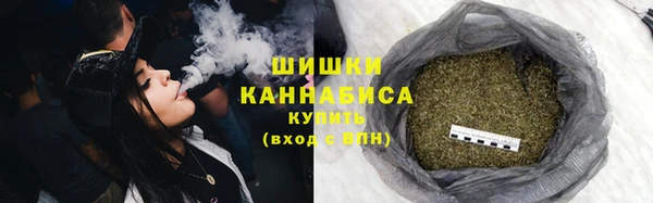 молекула духа Богородицк