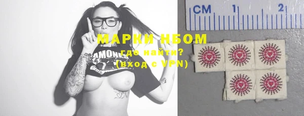 молекула духа Богородицк