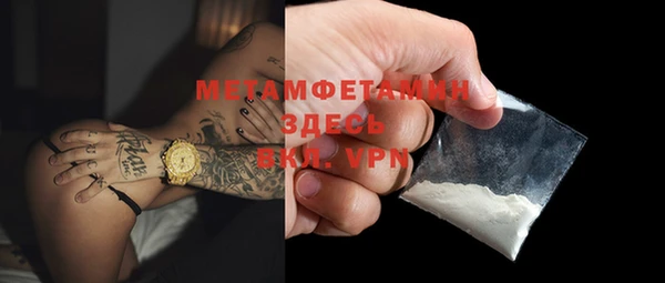 молекула духа Богородицк