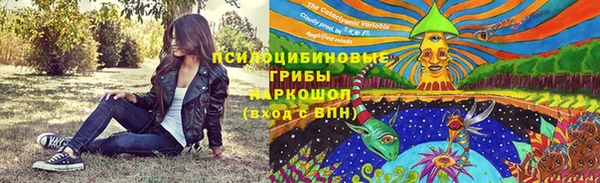 молекула духа Богородицк