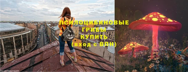 молекула духа Богородицк