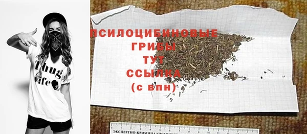молекула духа Богородицк