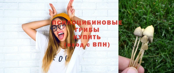 молекула духа Богородицк
