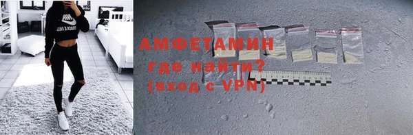 молекула духа Богородицк