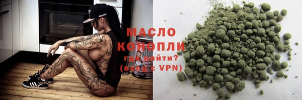 молекула духа Богородицк