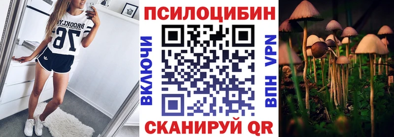 Галлюциногенные грибы GOLDEN TEACHER где найти наркотики Пятигорск